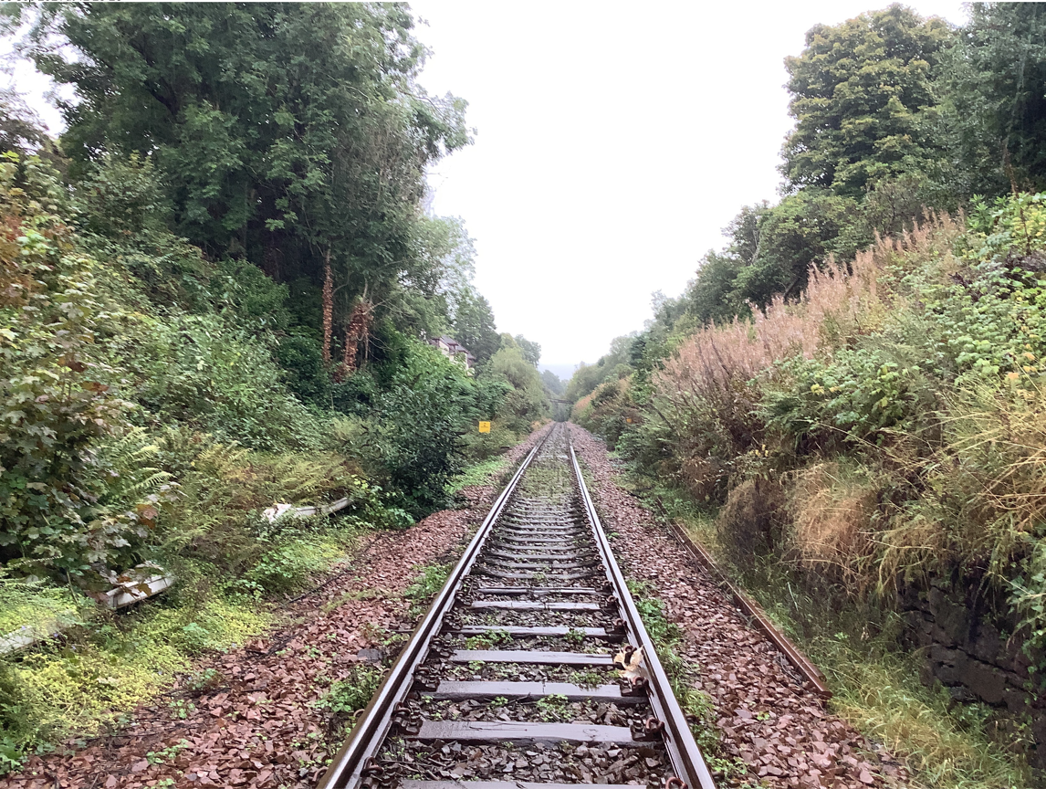 West Highland Line vegetation