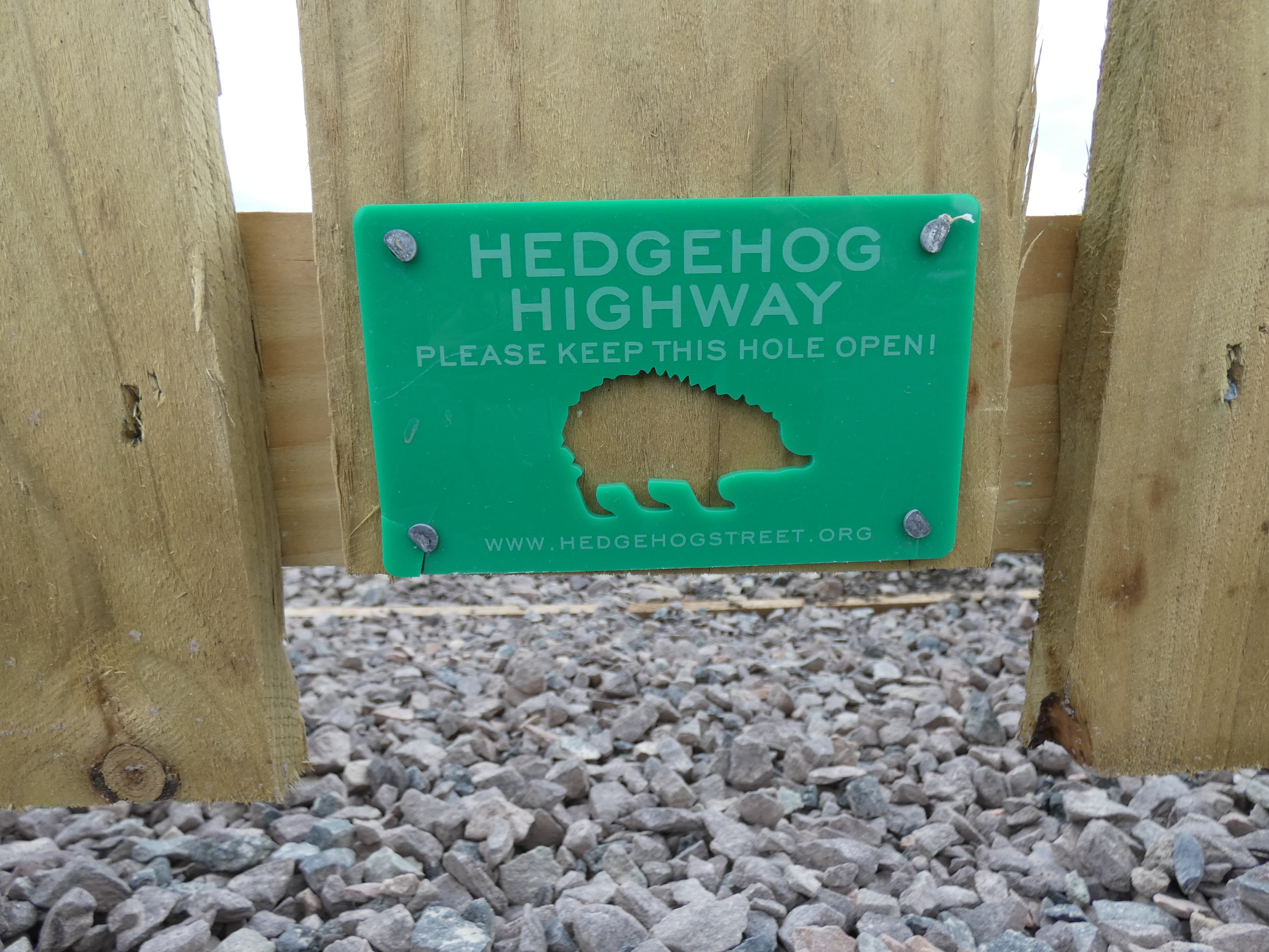 Hedgehog highway